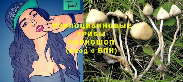 МДПВ Алексин
