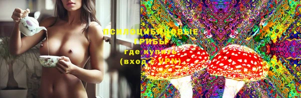 прущая мука Алзамай