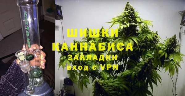 МДПВ Алексин