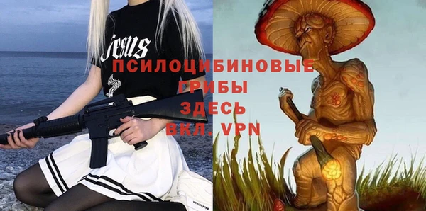 МДПВ Алексин