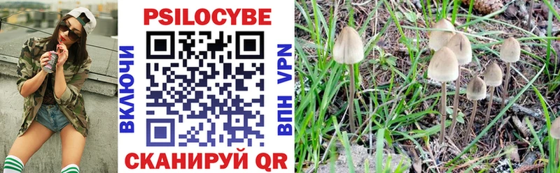 KRAKEN как войти  Карачаевск  Галлюциногенные грибы GOLDEN TEACHER 