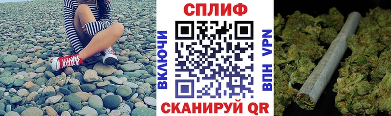 продажа наркотиков  omg зеркало  Марихуана THC 21%  Карачаевск 